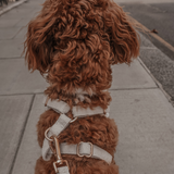 Marshmallow┃Bouclé Adjustable Harness